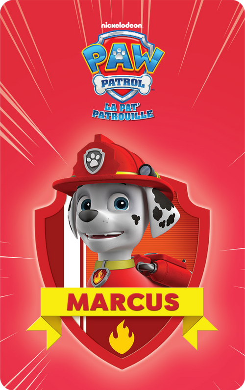 Collection La Pat' Patrouille