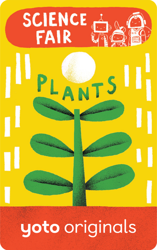 BrainBots Science Fair