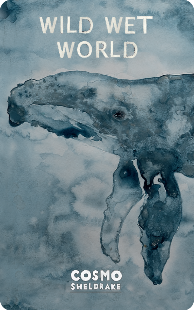 Wild Wet World (Digital)
